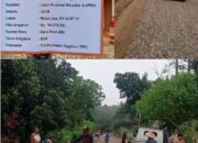 Pemerintah Tiyuh Mulya Jaya, Laksanakan Pembangunan Jalan lingkungan (LAPEN)