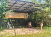 Tempat Budidaya Lebah madu klanceng Dinas Pertenakan Tubaba Dibiarkan Terbang Kalai Tak Terawat