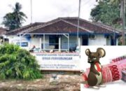 Kadishub Tubaba Diduga korupsi Dana Setoran Retribusi Parkir