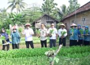 Penilaian Lomba Administrasi PKK, Posyandu dan K3W, lebih kepada pembinaan kepada PKK Kecamatan dan Tiyuh.