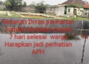 Proyek Rehabilitas BBI marga kencana milik Dinas perikanan Tubaba tahun 2024 dikerjakaan asal -asalan