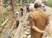 Pemerintah Tiyuh Toto Katon Realisasi Dana Desa Tahun Anggaran 2024 Untuk Membangun Drainase