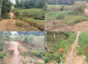 Masyarakat Penumangan dan Penumangan Baru Minta Perhatian Pemkab Tubaba atas Jalan berikut Jembatan yang Rusak