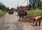 Masyarakat Tiyuh Penumangan Gotong Royong Perbaiki Jalan Berlubang yang Sering Menyelakakan Penggunaan Jalan