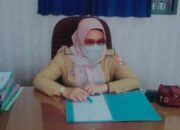 Seketaris Dinas Kesehatan Tubaba: Kami Hanya Melihat Output, Proses Penerbitan SIP di DPMPTSP