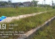 Median Jalan Uluan Nughik Terabaikan, Rumput dan Ular Kuasai Area Sekitar