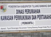 Dugaan Proyek Fiktif di Dinas Perkimta Tubaba, Kontrak Tetap Jalan Meski Paket Dibatalkan