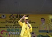 Warga Desak Penertiban Pembalakan Liar Hutan Di pesisir Barat : DPRD Lampung Angkat Bicara