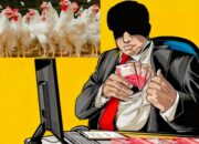 Pengadaan Bibit Ayam Buras Tubaba Disinyalir Sarat Pengkondisian dan Berpotensi Rugikan Negara