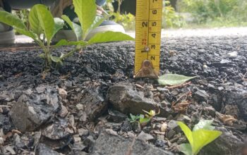 Diduga Tak Sesuai Spesifikasi, Proyek Jalan Panaragan Jaya Menuai Sorotan