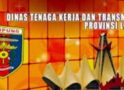 Anggaran Rp3,54 Miliar PBK Disnaker Lampung Disorot, Kompetensi Penyedia dan Mekanisme E-Katalog Dipertanyakan