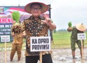 Ketua Dewan Perwakilan Rakyat Daerah Provinsi Lampung Hadiri Tanam Padi Bersama Forkopimda di Lampung Timur