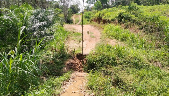 Jembatan Ambruk Putuskan Akses, Warga Soroti Kinerja Pemerintah Daerah