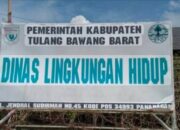 Gawat! Gaji Petugas Taman dan Sampah Tubaba Diduga Jauh di Bawah UMK, Skema E-Katalog Disorot