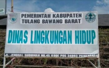 Gawat! Gaji Petugas Taman dan Sampah Tubaba Diduga Jauh di Bawah UMK, Skema E-Katalog Disorot