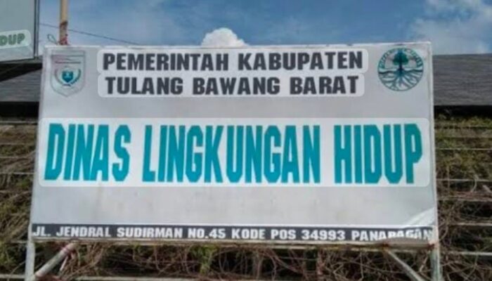 Gawat! Gaji Petugas Taman dan Sampah Tubaba Diduga Jauh di Bawah UMK, Skema E-Katalog Disorot