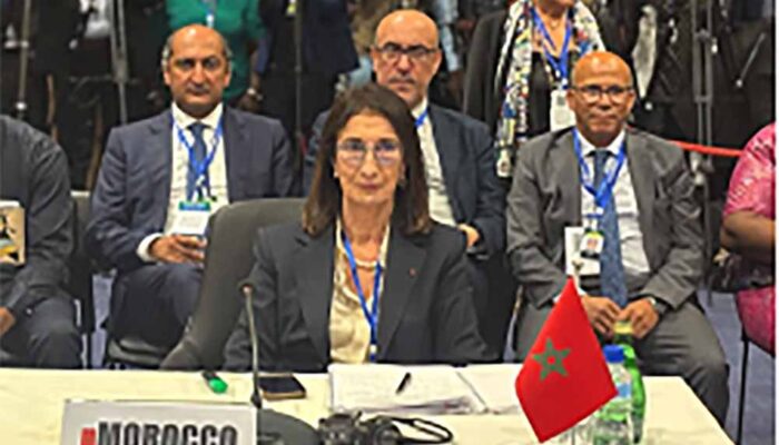 Langkah Bersejarah Energi Afrika: Negara-Negara ECOWAS Resmi Dukung Proyek Pipa Gas Atlantik Nigeria-Maroko