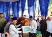 Prabowo Beri Sapi Kurban Jumbo untuk Pemprov Lampung