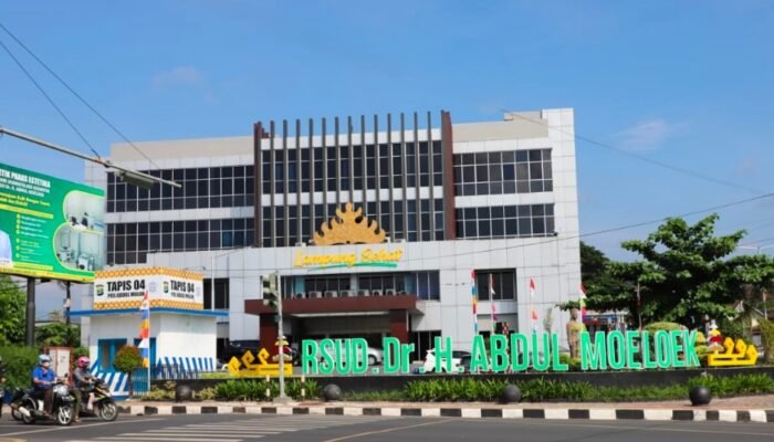 Misteri Paket Rp3,4 Miliar RSUD Abdul Moeloek: Etalase Kosong, Dugaan Pengondisian Vendor Non-UMKK Berkedok E-Purchasing