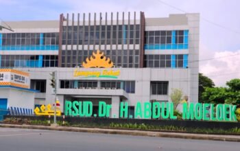 Dugaan Kejanggalan Pengadaan RSUD Abdul Moeloek, Pengamat PBJ: Audit Harus Dilakukan Menyeluruh
