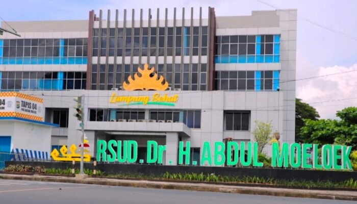 Dugaan Kejanggalan Pengadaan RSUD Abdul Moeloek, Pengamat PBJ: Audit Harus Dilakukan Menyeluruh