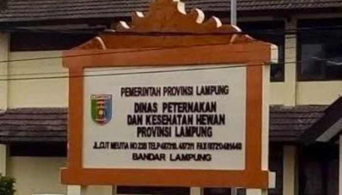 Monopoli Paket Anggaran di Disnakkeswan Lampung: Borong Proyek Rp410 Juta hingga Sengkarut Data Laboratorium