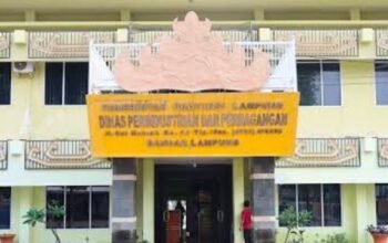 Soal Hibah Bedryer Rp26,65 Miliar, Ini Penjelasan Disperindag Lampung soal Pemecahan Paket, HPS hingga Beda Harga