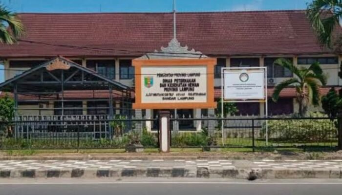 APH dan BPK Didesak Dalami Kejanggalan Belanja Rp410 Juta Diskeswan Lampung