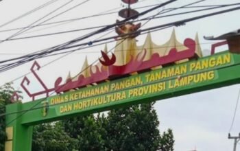 Pengamat PBJ Soroti Proyek PHC Lampung Rp4,1 Miliar, Minta Kualifikasi Vendor dan Spesifikasi Barang Diperiksa