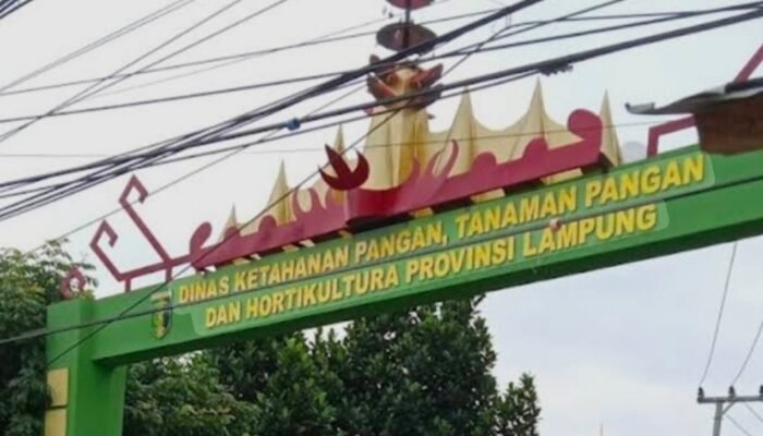 Pengamat PBJ Soroti Proyek PHC Lampung Rp4,1 Miliar, Minta Kualifikasi Vendor dan Spesifikasi Barang Diperiksa