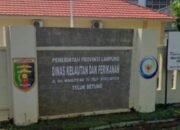 Mengendus Janggal Proyek Outsourcing DKP Lampung; Kontrak Rp763 Juta, Hak BPJS Pekerja Raib?