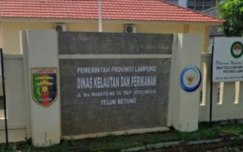 Mengendus Janggal Proyek Outsourcing DKP Lampung; Kontrak Rp763 Juta, Hak BPJS Pekerja Raib?