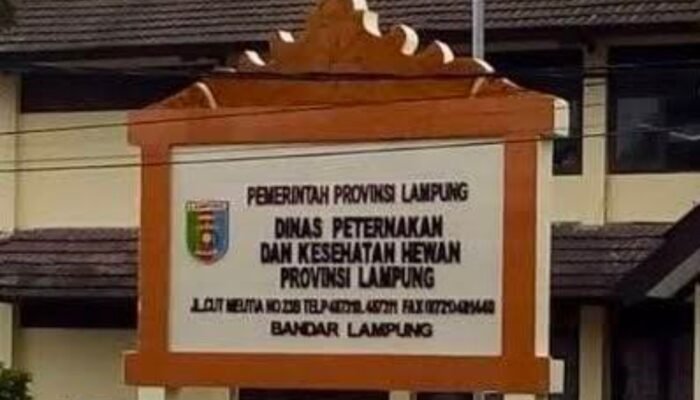 Disnakkeswan Lampung Balas Surat LSM LADAM, Bantah Dugaan Pengondisian Proyek Rp410,9 Juta